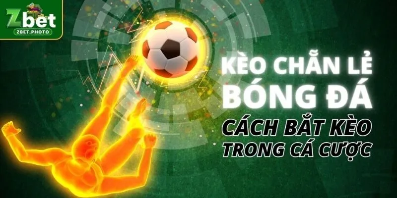 Bí quyết soi kèo Chẵn Lẻ ZBET bách phát bách trúng